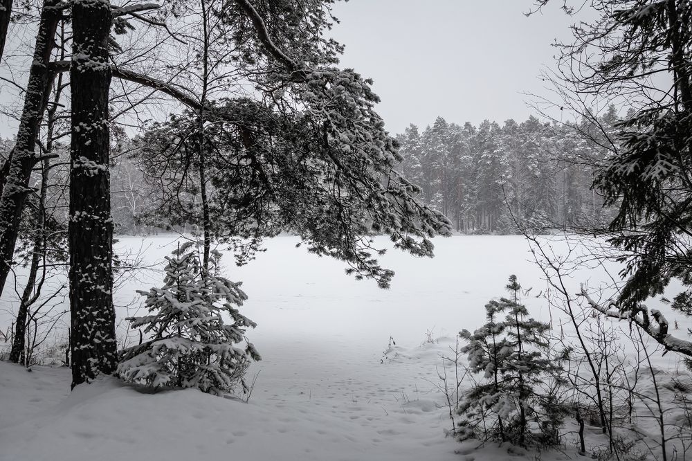 Photograph by Наталья Колеватова