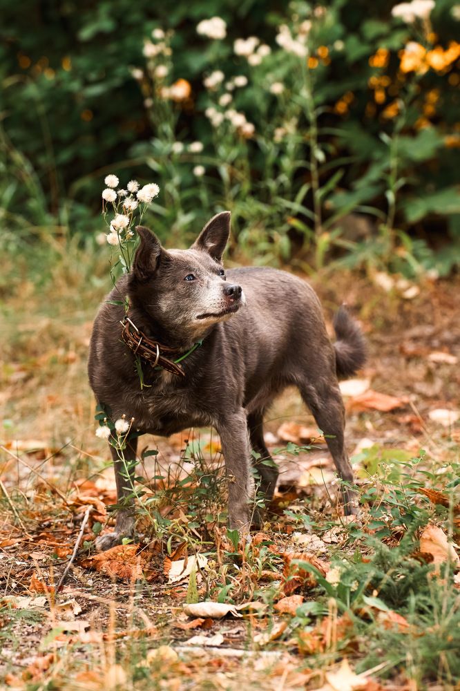 Photograph by Николай Корнилов