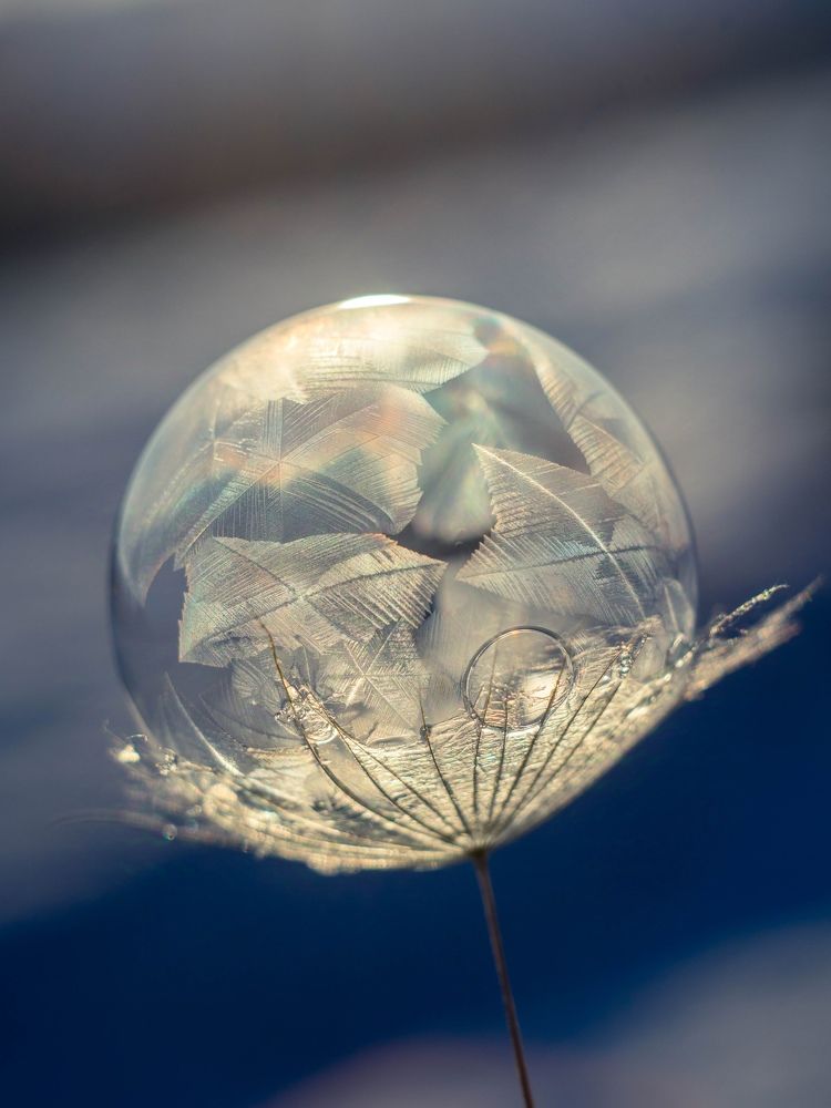 Photograph by Людмила Прибылова