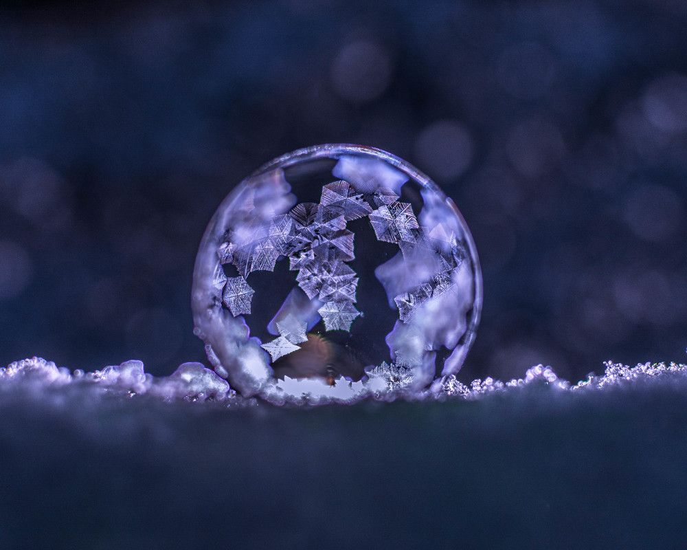 Photograph by Людмила Прибылова