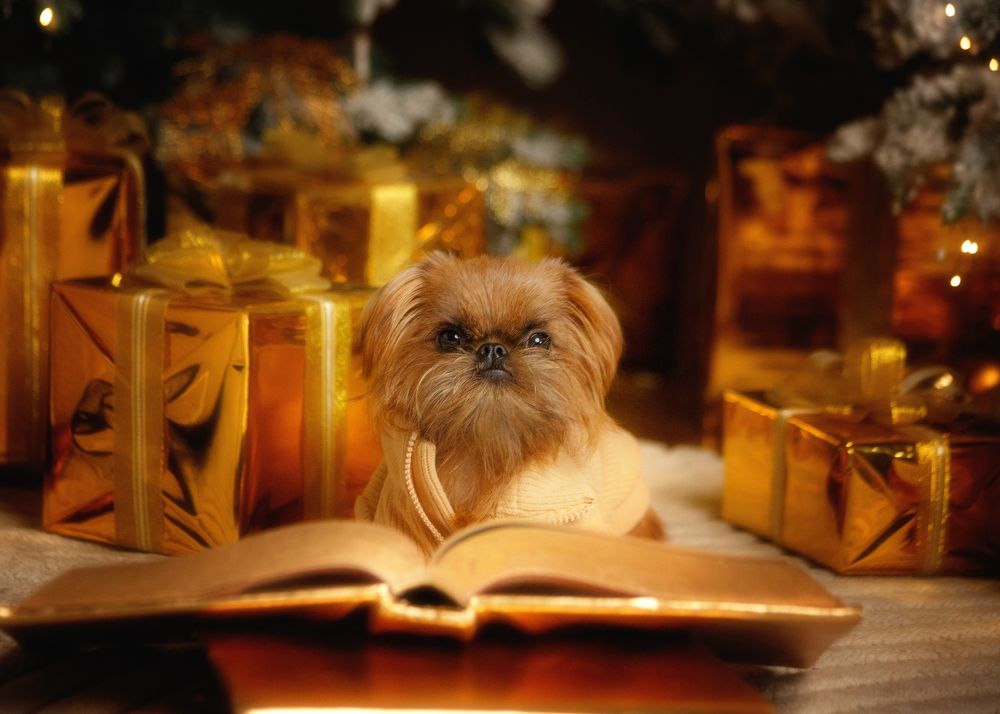 Photograph by Ирина Корх