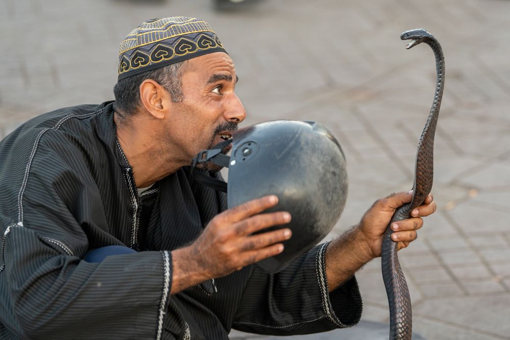 Фотография автора Michal Nega