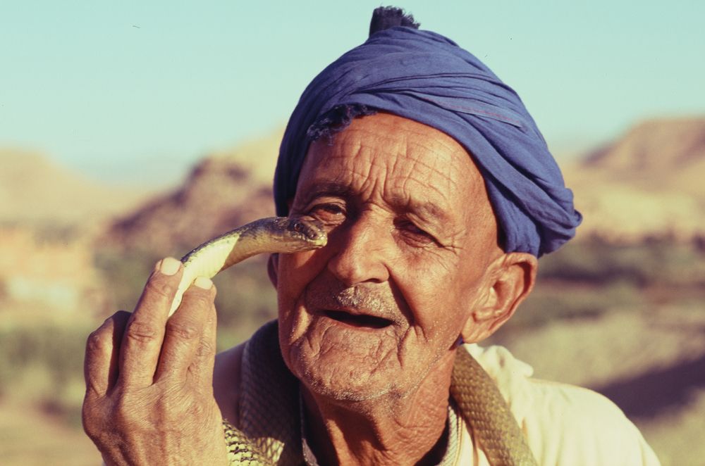 Фотография автора Michal Nega