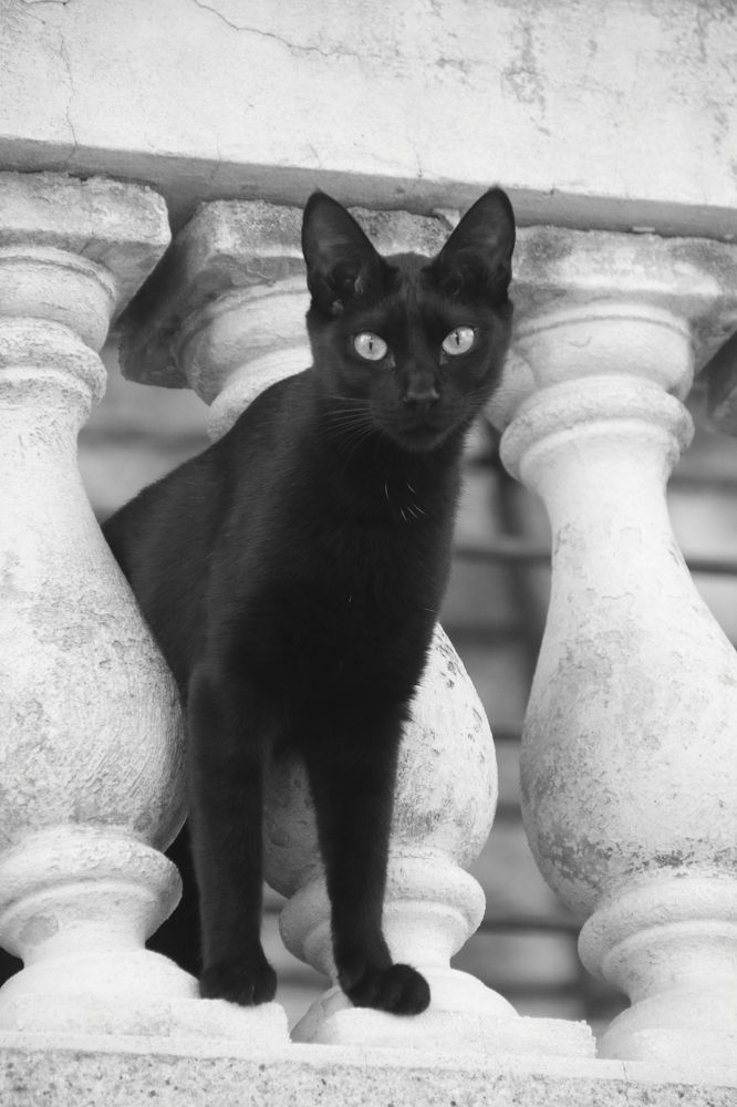 Photograph by Markov Dima