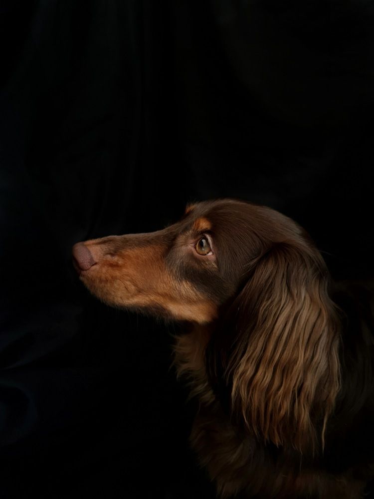 Фотография автора Ольга Шишук