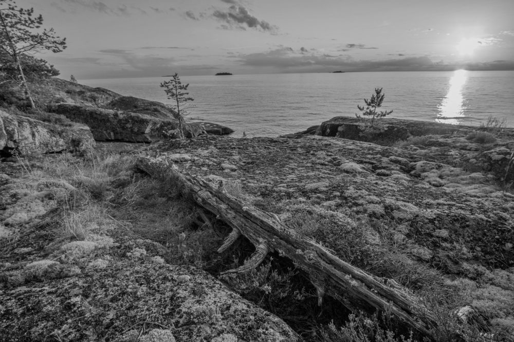 Photograph by Луферов Никита