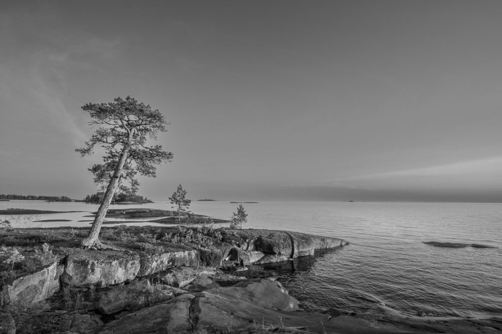 Photograph by Луферов Никита