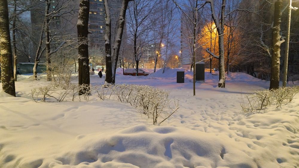 Фотография автора Ольга Быстрова