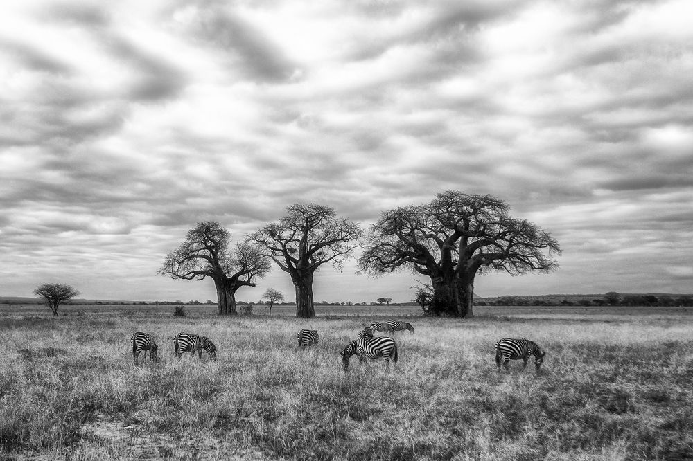 Photograph by Рашид Усманов