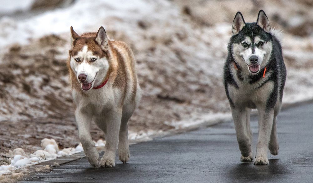 Photograph by Владимир Безбородов