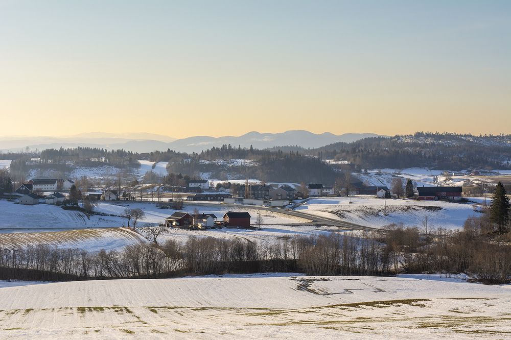 Photograph by Renee Johansson