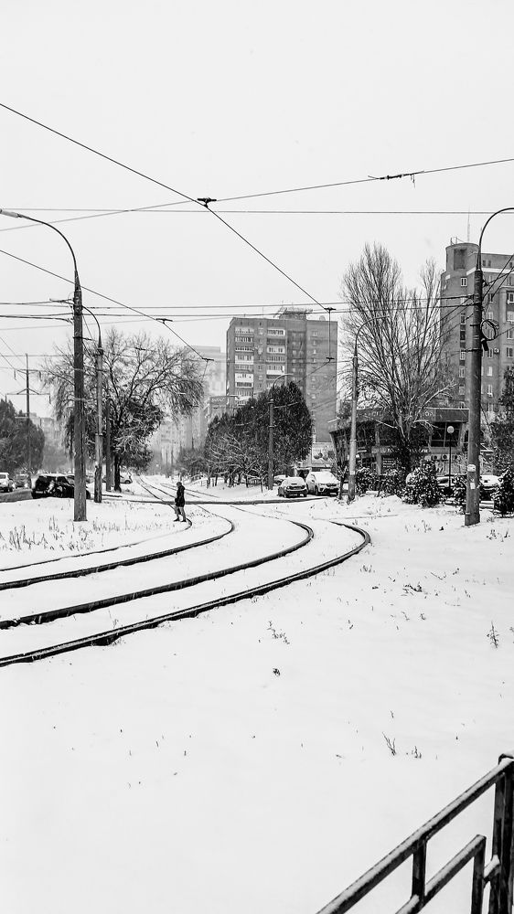 Фотография автора Дарина Фельдман