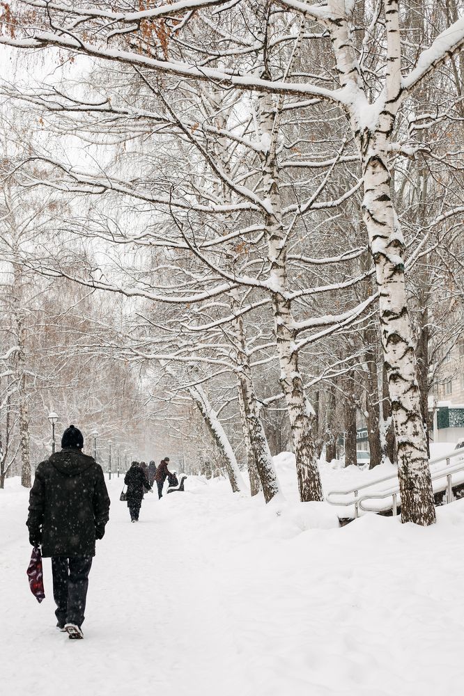 Фотография автора Дарина Фельдман