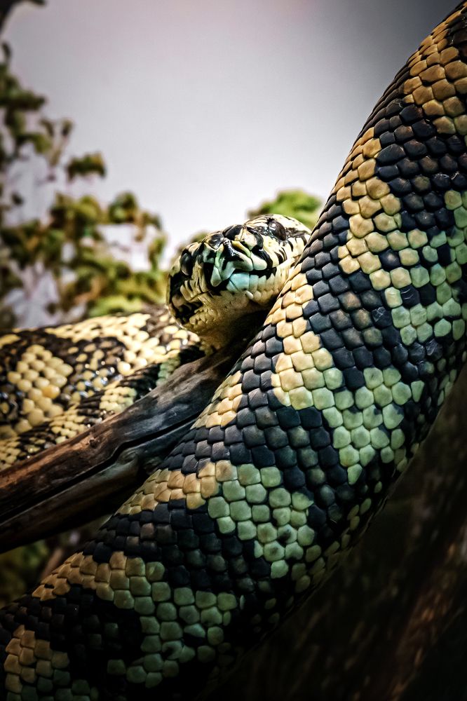 Photograph by Алексей Еремеев