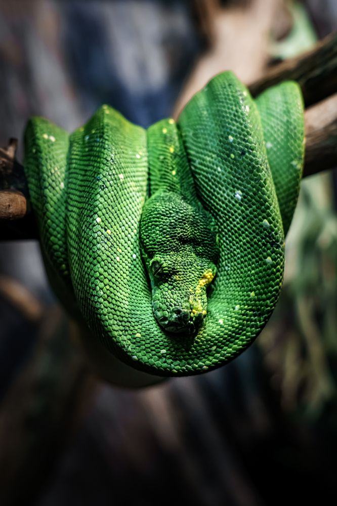 Photograph by Алексей Еремеев