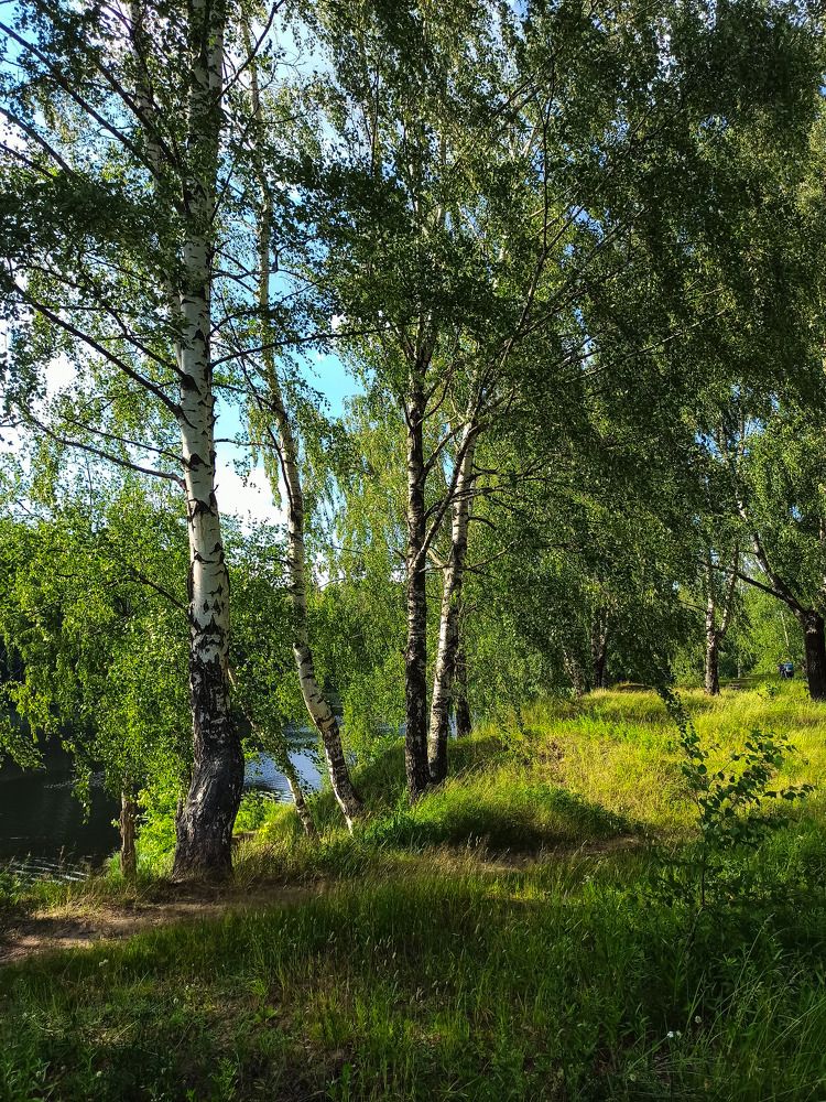 Photograph by Татьяна Павлова
