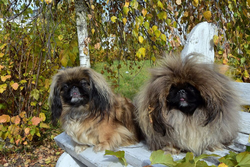 Photograph by Dimon Grinih