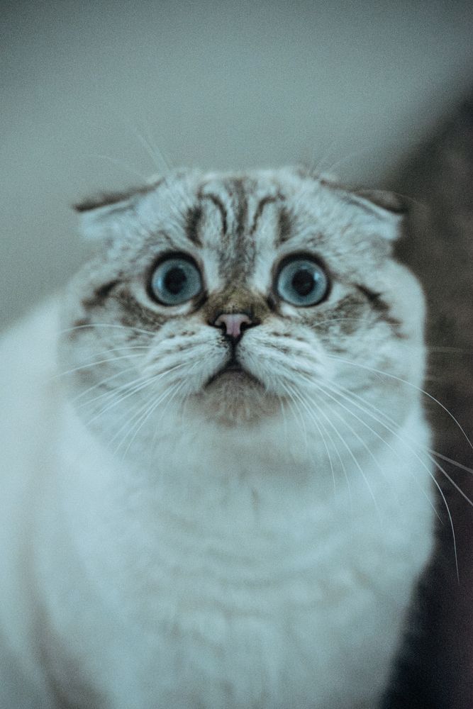 Photograph by Anna Vlasova