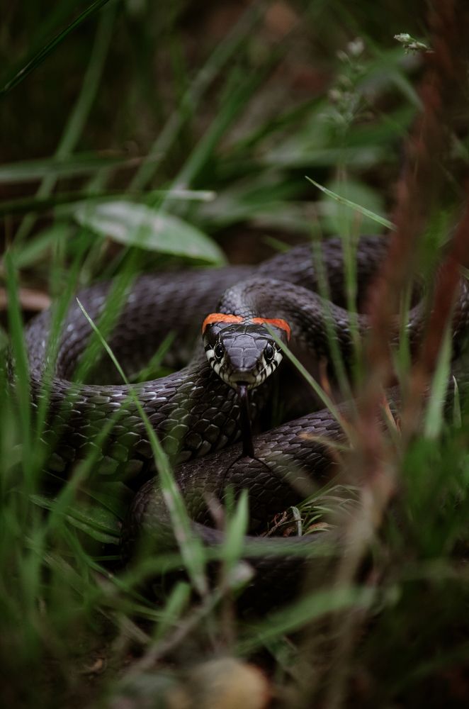 Photograph by Наталья Золотарева