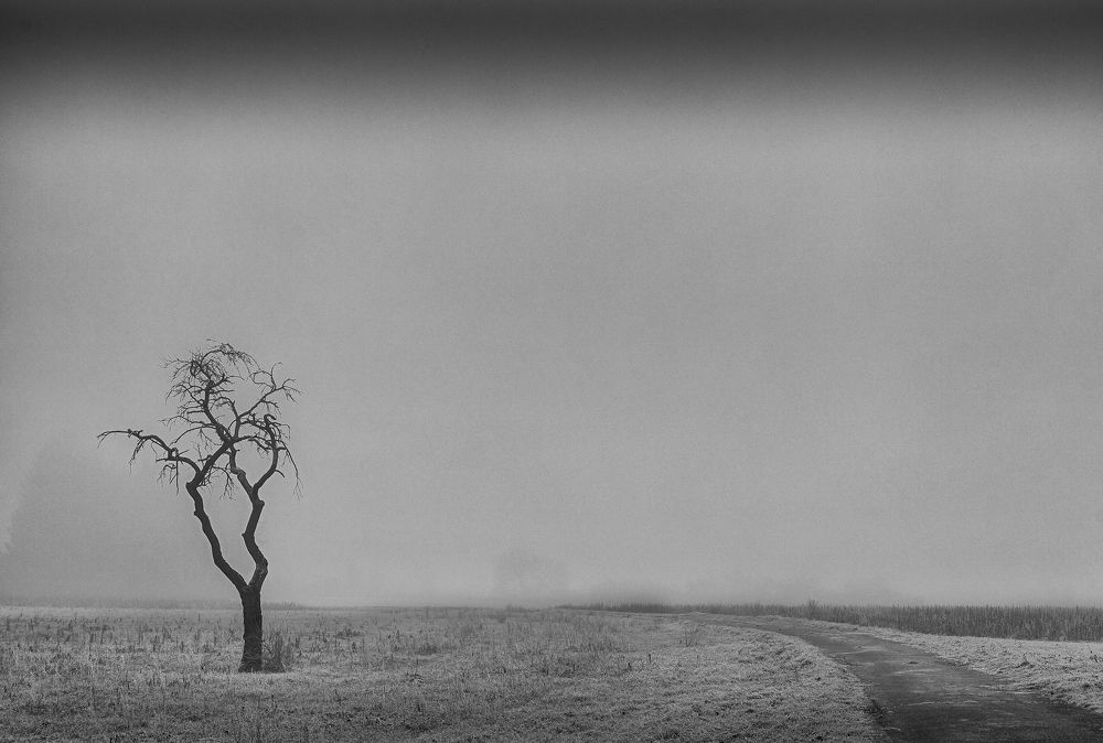 Photograph by Mostafa Mohammad Beigi