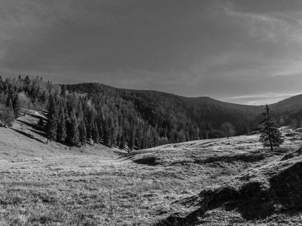 Photograph by Veaceslav Cornei