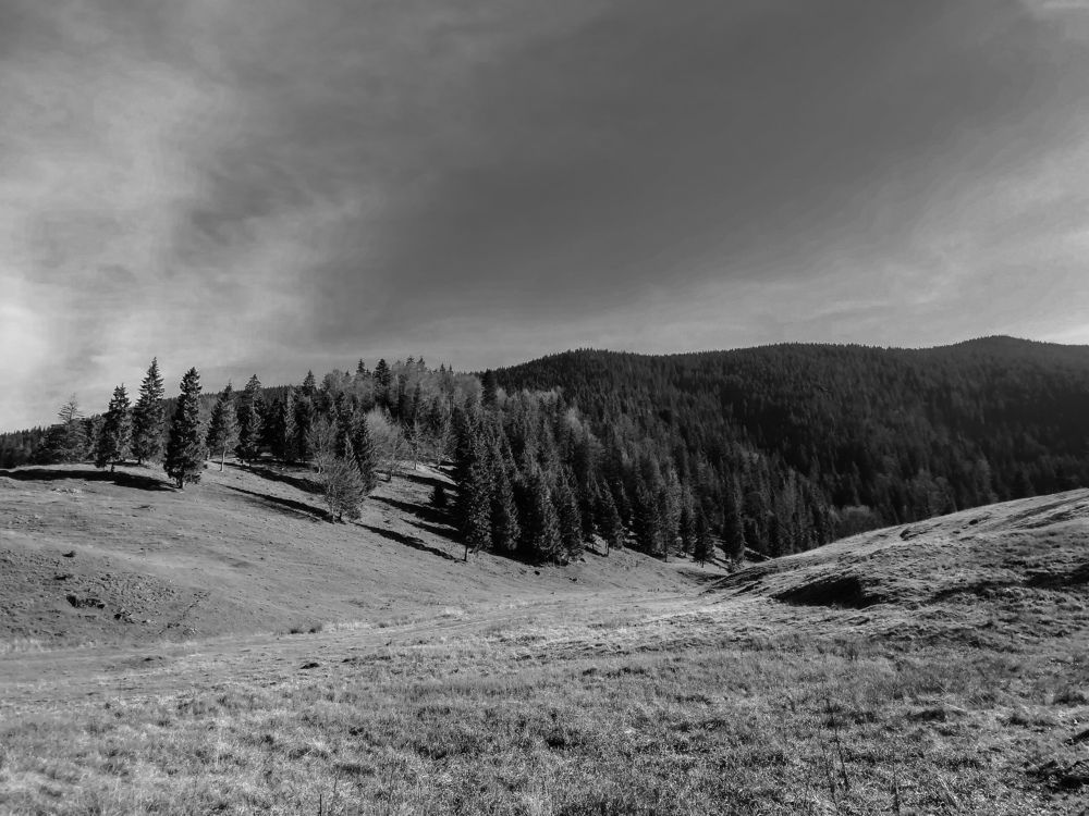 Photograph by Veaceslav Cornei