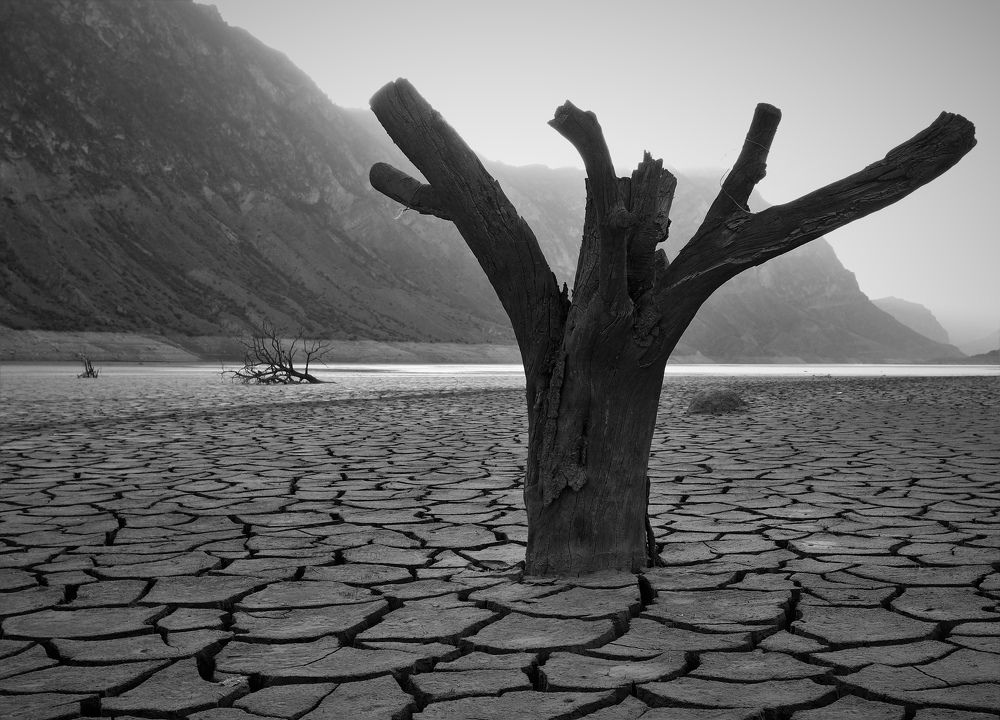 Photograph by Максимушкина Ольга