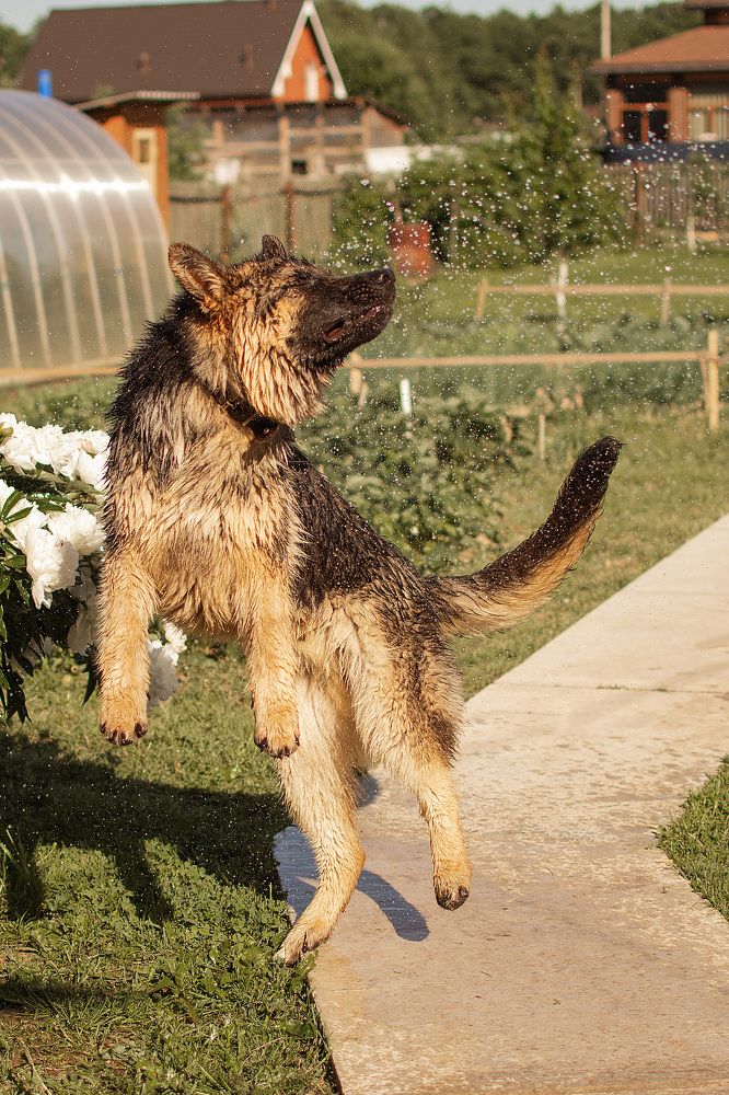 Photograph by Наталья Золотарева