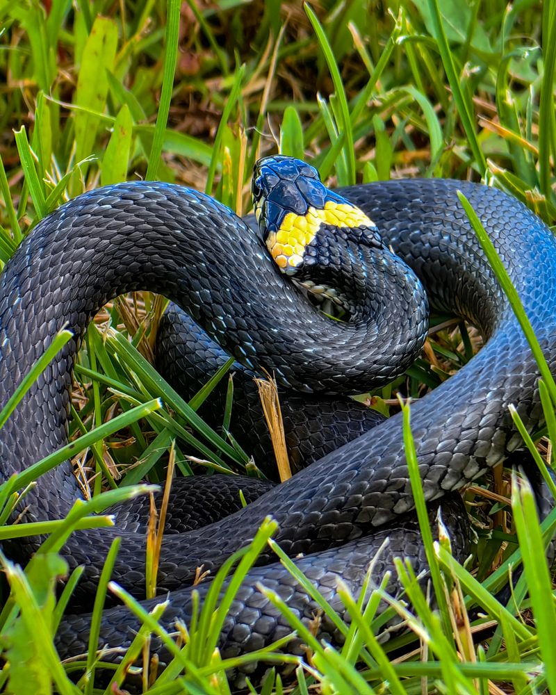 Photograph by Наталья Балабанова