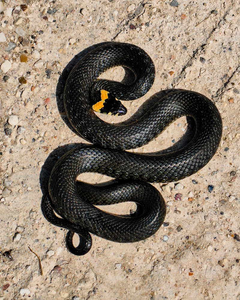 Photograph by Наталья Балабанова