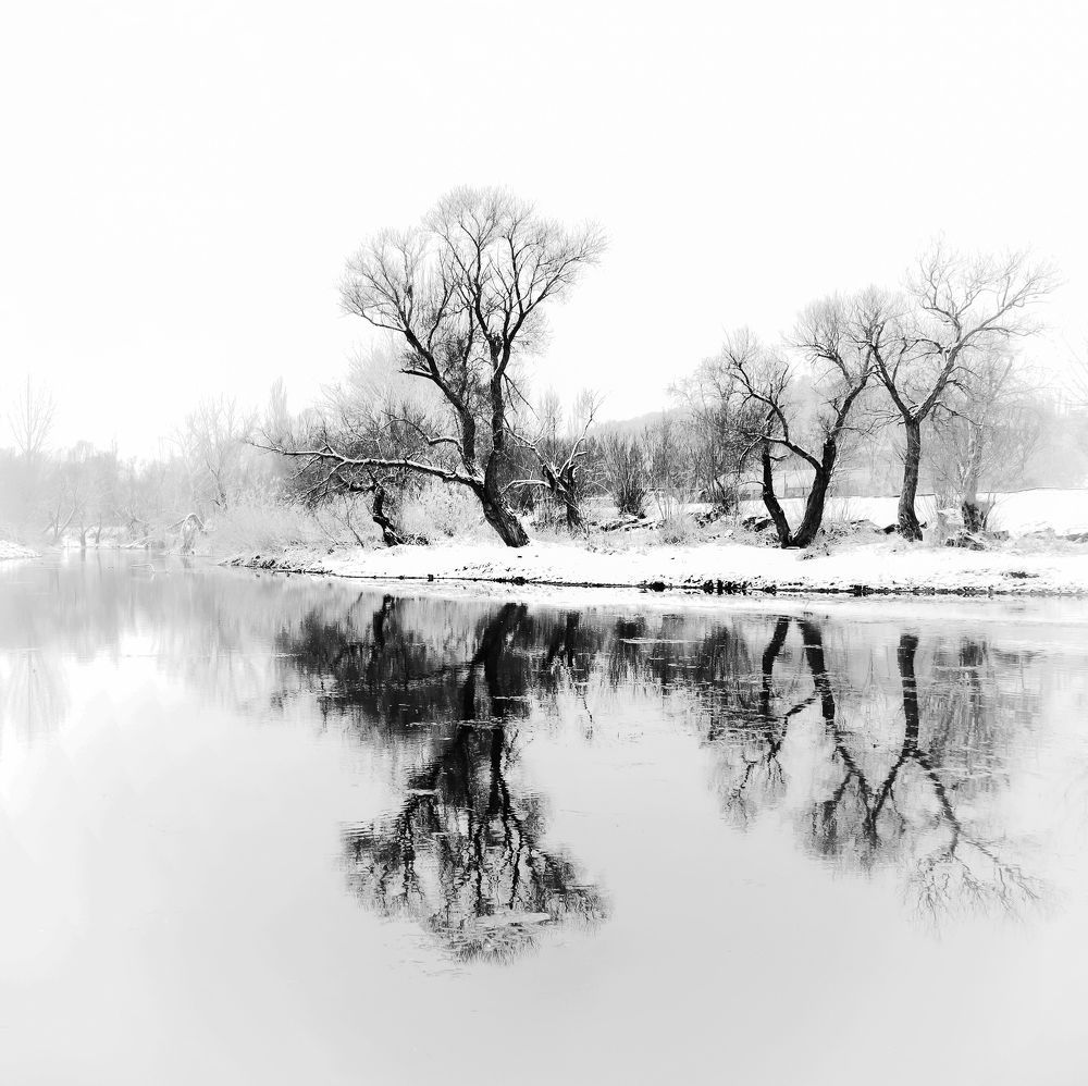 Photograph by Shamal Shakibayi