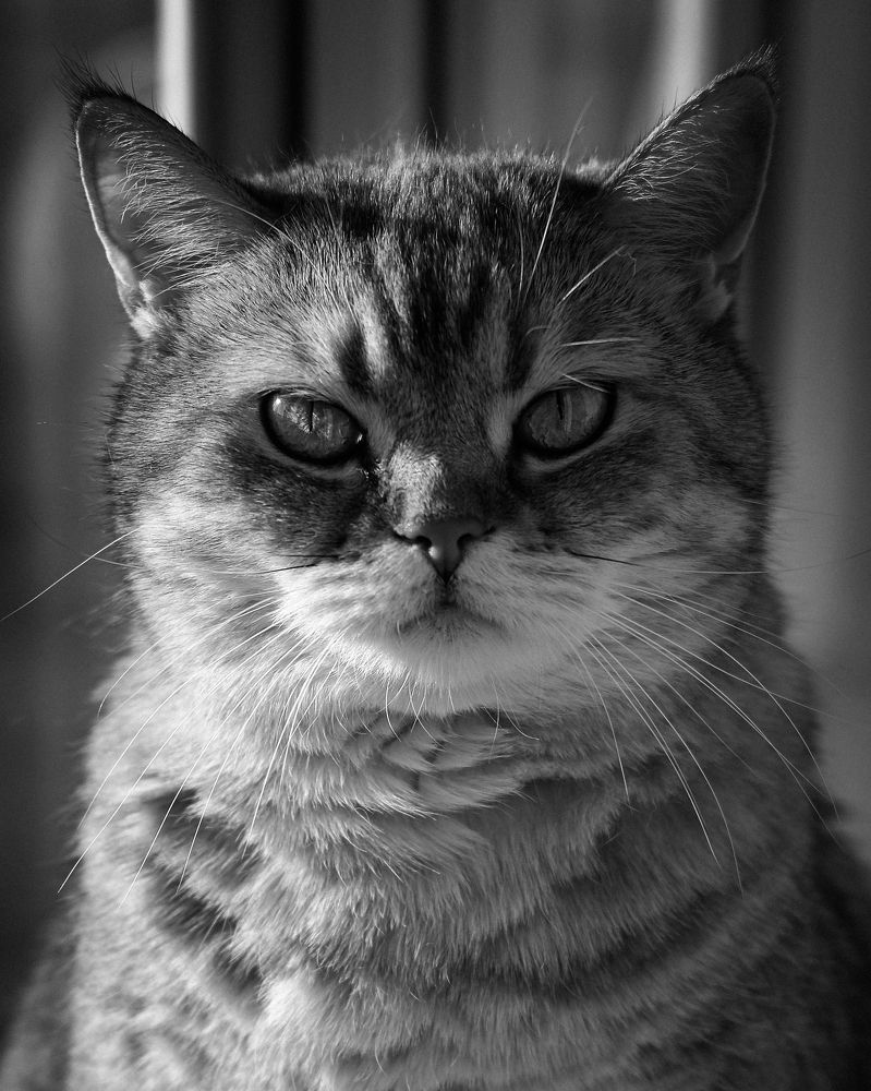 Photograph by Карина Стряпчих