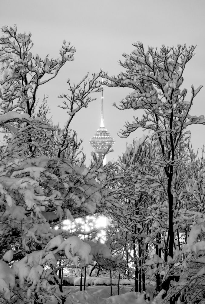 Photograph by Farshad Yazdankhah