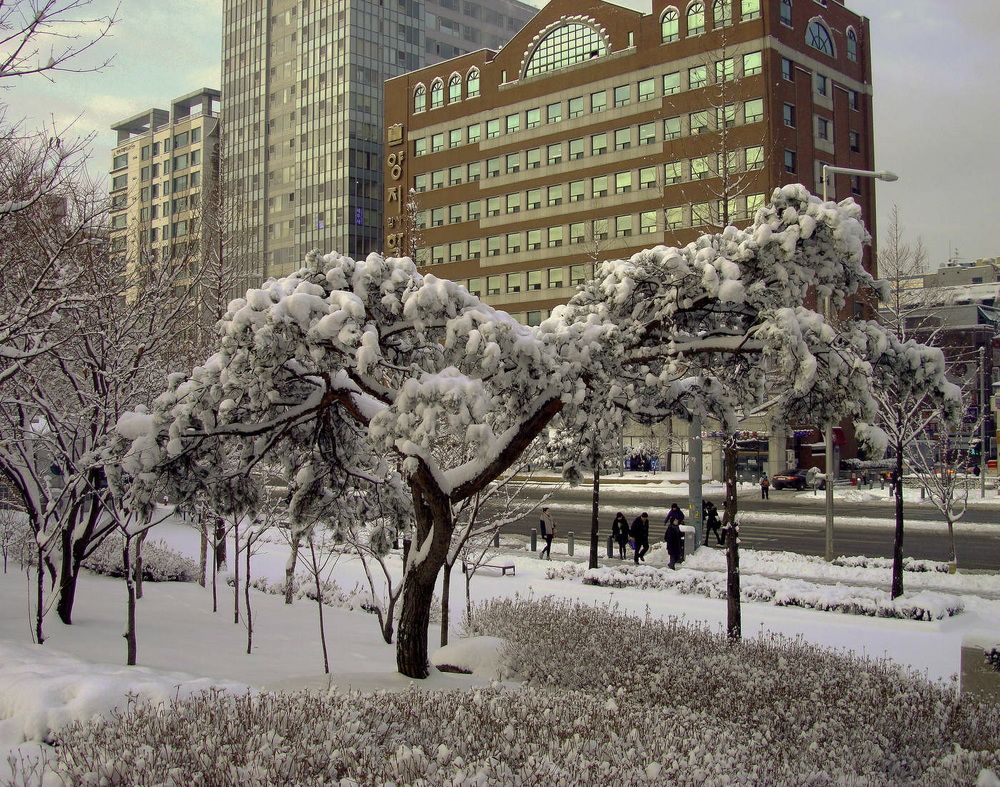 Фотография автора АЛЕКСАНДР ЦЫГЕЛЬНЮК