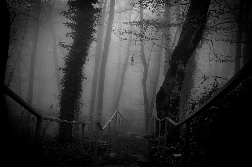 Photograph by Марина Шоркина