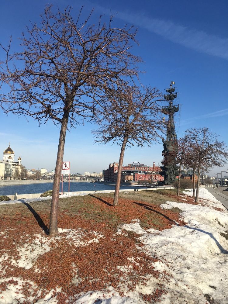 Photograph by Игорь Ребров