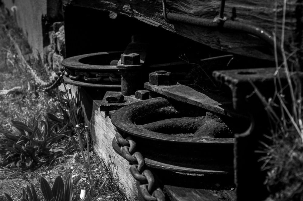 Photograph by BARBARA IVONNE MARTIN MILLAN