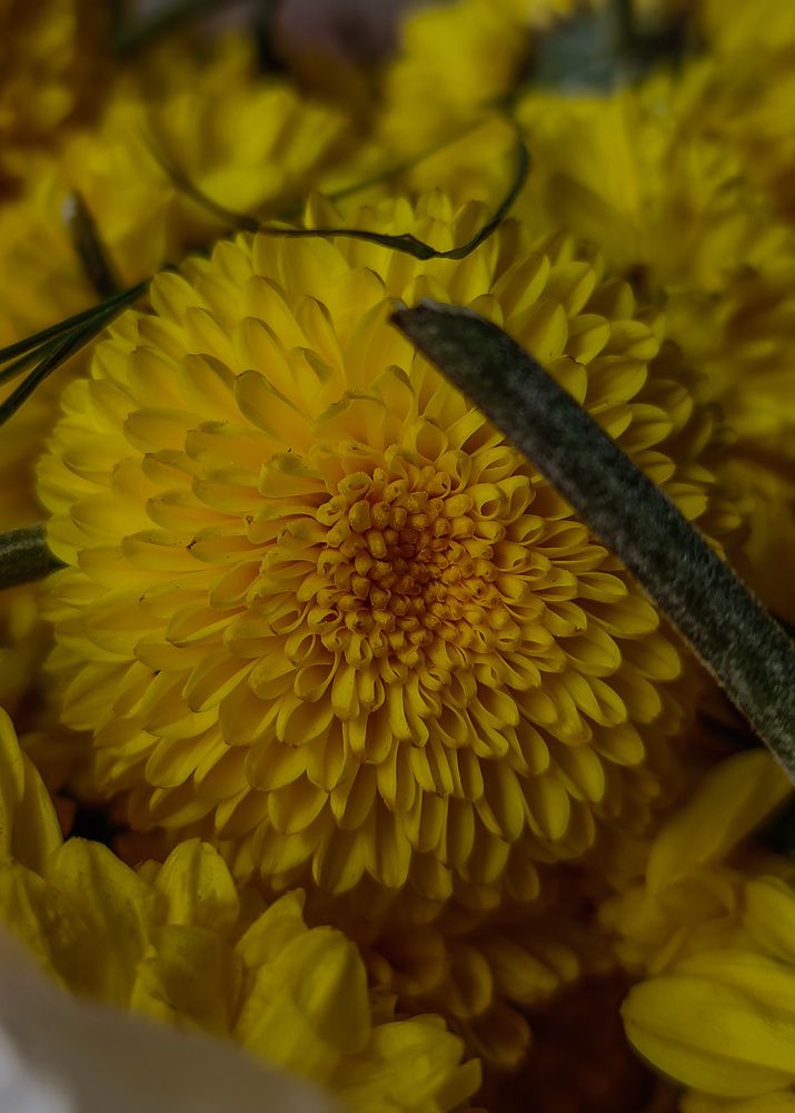 Photograph by Hassana Beegam