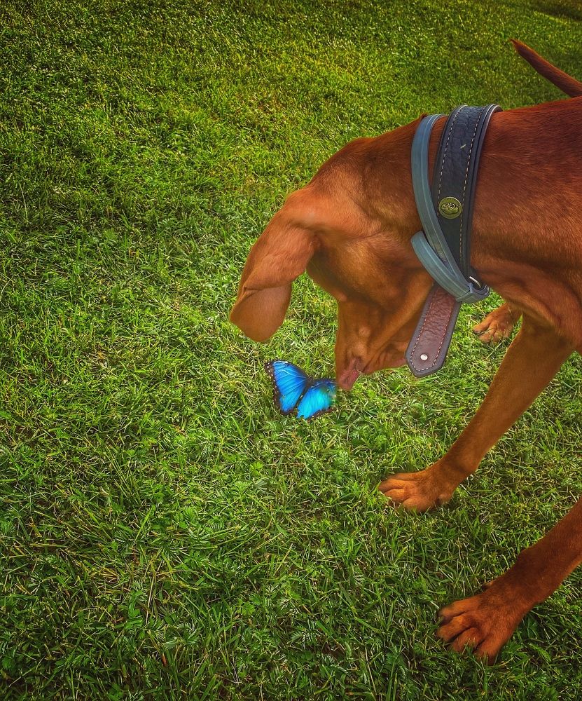 Фотография автора Olga Klyueva