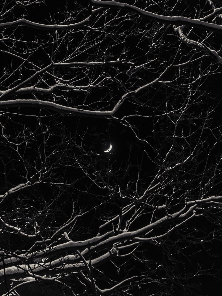 Photograph by Алиса Нежинская