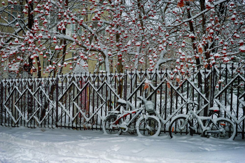 Photograph by Ирина Александрович