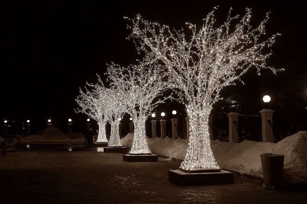 Photograph by Леонид Шнейдерман