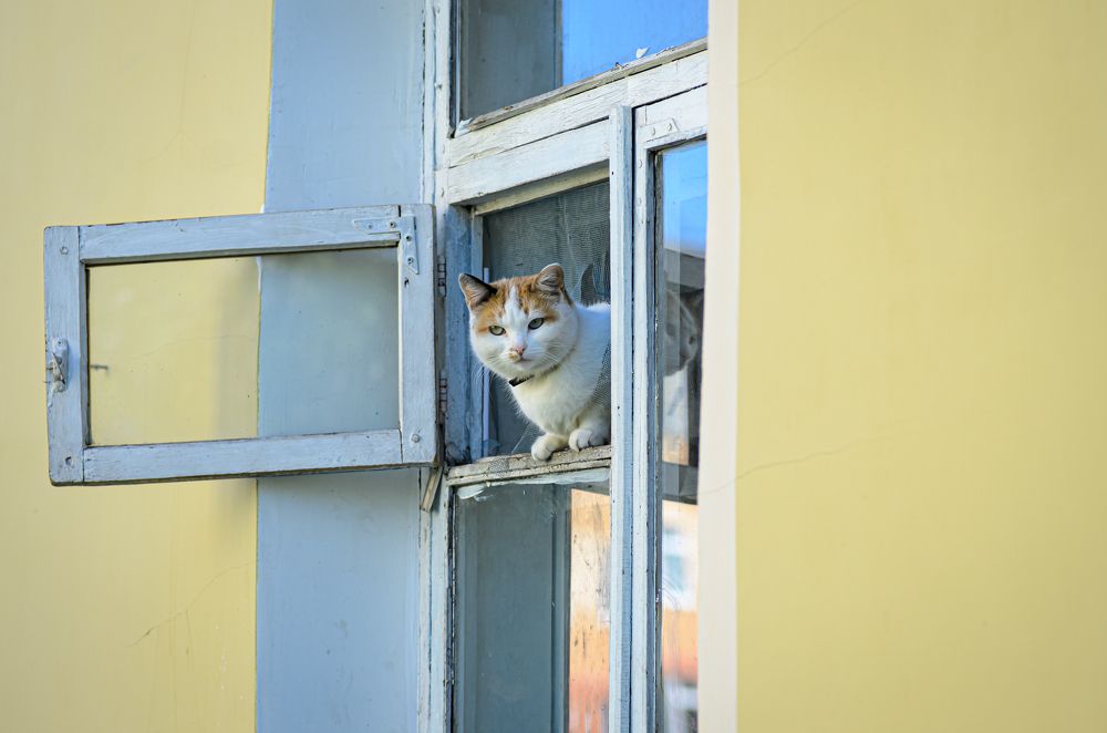 Photograph by Елена Берсенёва