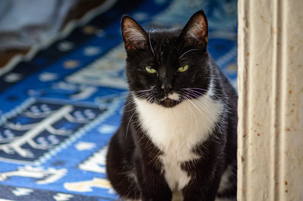 Photograph by Елена Берсенёва