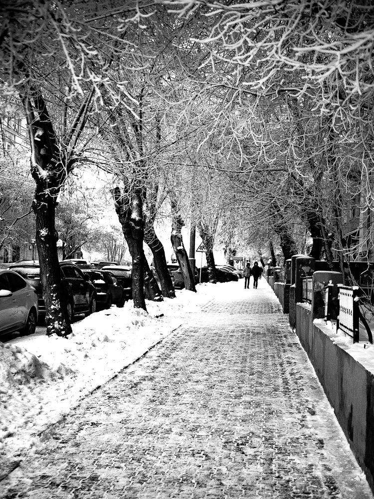 Photograph by Елена Берсенёва