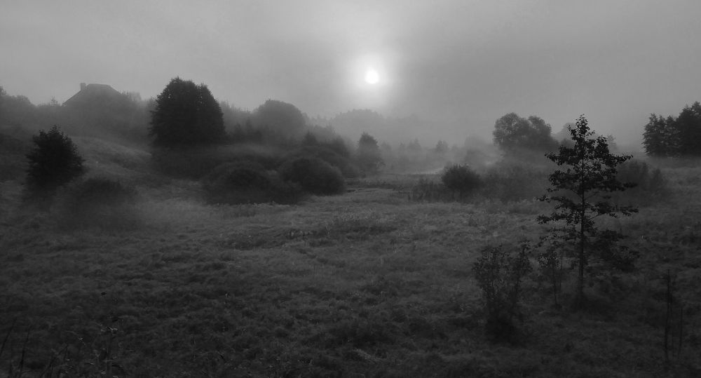 Photograph by Андрей Осмоловский