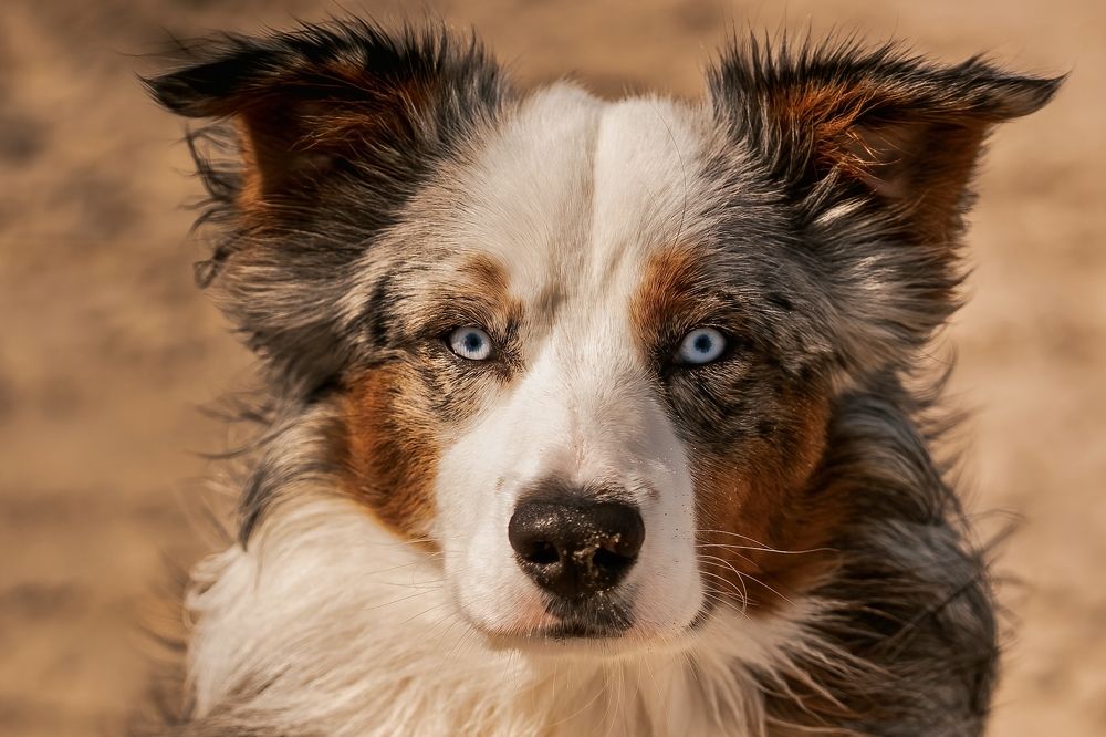 Фотография автора Viktoria Farkas