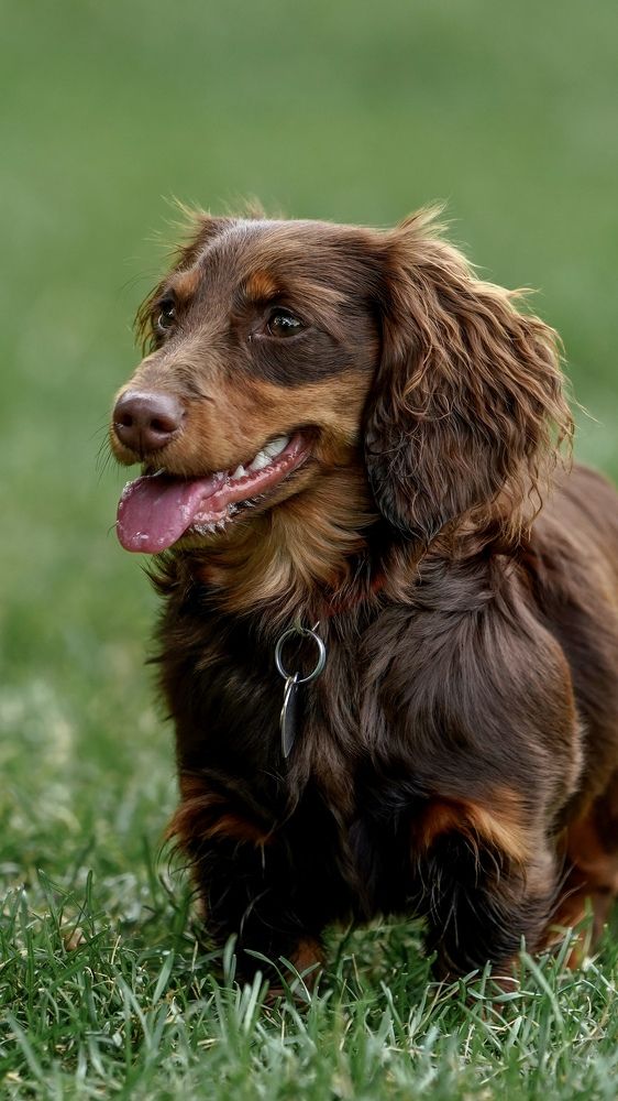 Фотография автора Viktoria Farkas