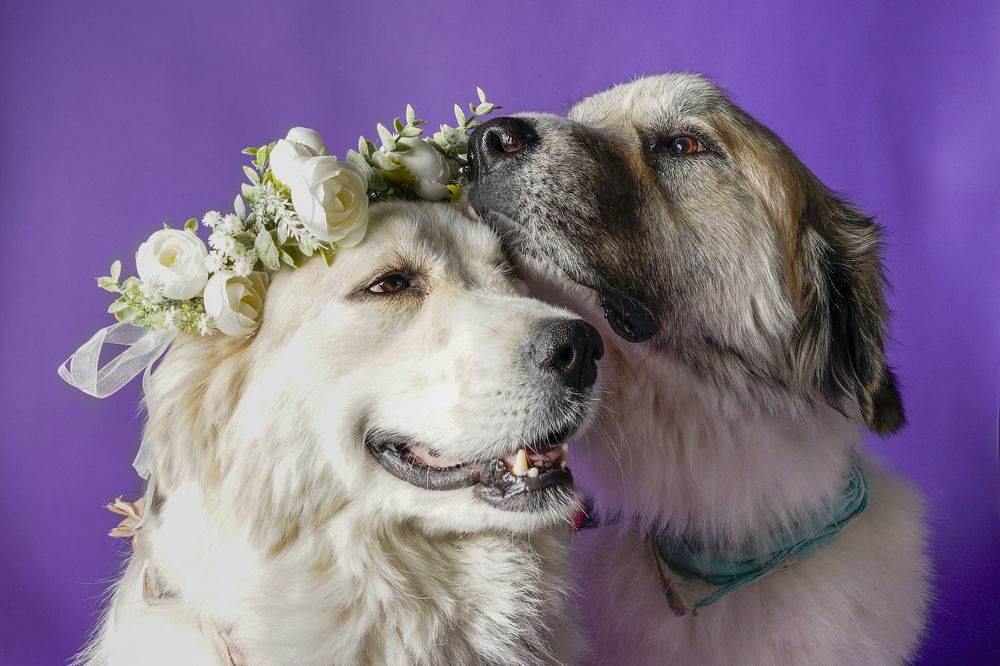 Фотография автора Viktoria Farkas