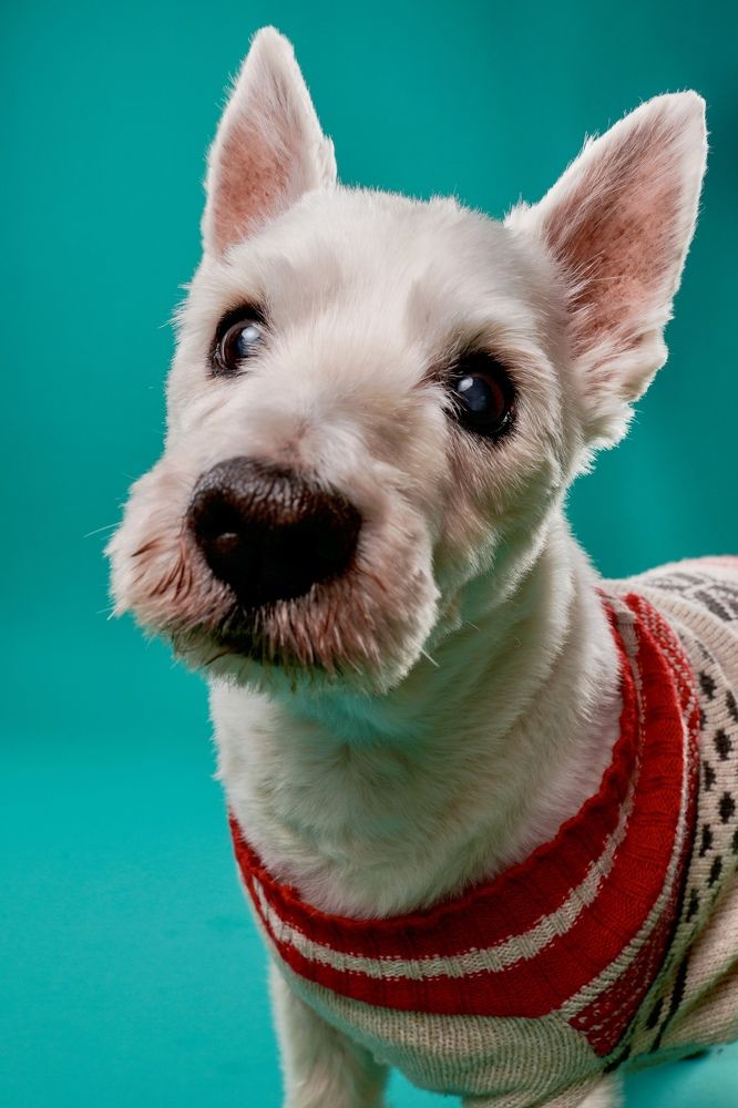 Фотография автора Viktoria Farkas